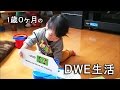 【ディズニーの英語システム】 1歳0ヵ月 佑守　I like English.  1 year old