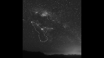 Random Movement, Jaybee & Dave Owen - Embers & Ashes