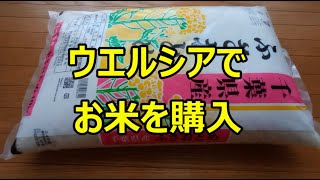 ウェルシアでお米１０ｋｇ購入　＜食料品の買い出し8月の2回目＞