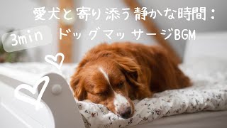 【ドッグマッサージ】愛犬と寄り添う静かな時間：ドッグマッサージBGM3分 by azi 『イヌなで』ちゃんねる 55 views 5 days ago 2 minutes, 56 seconds