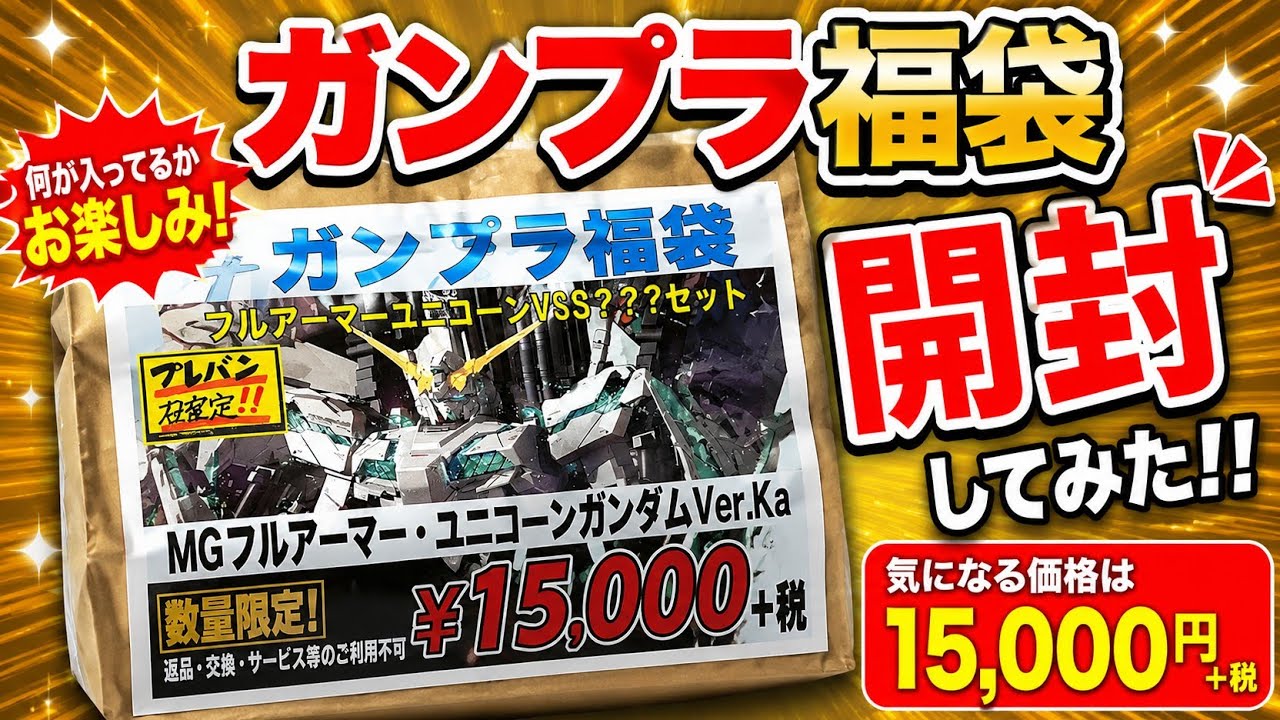 Unboxing a 16,500 Yen Gunpla Lucky Bag! *This bag was opened