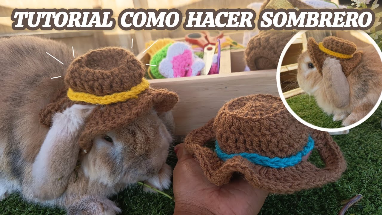 TUTORIAL GORRITO PARA CONEJOS  hat for rabbits  crochet cat hat Paso a paso 2025
