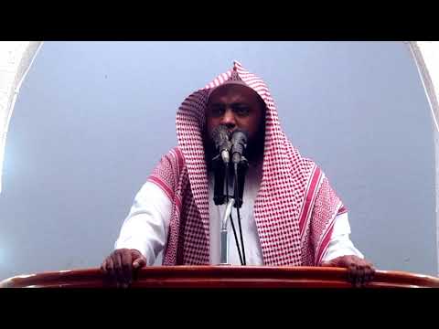 طريق السعادة الصحيح