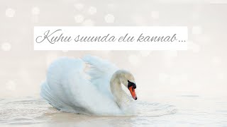 Kuhu suunda elu kannab🦢🤍🦢 Ajatu vali-kaart stiilis video💞