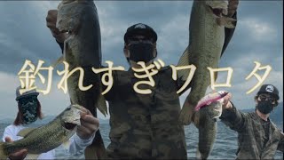 【バス釣り】釣るときは釣るんです！！【琵琶湖/南湖】