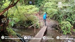 Ruta Mili Mili en Coñaripe - Panguipulli