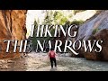 You Need to Hike The Narrows in Zion National Park