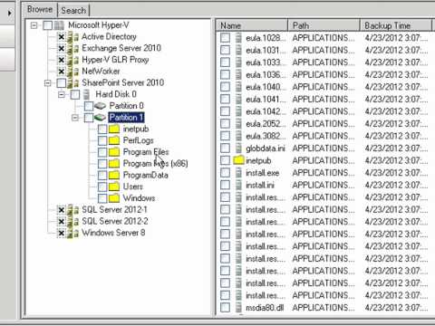 EMC NetWorker Module for Microsoft Application 2.4 -- Hyper-V Overview and Granular Level Recovery