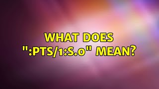 What does ":pts/1:S.0" mean?