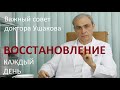 ВОССТАНОВЛЕНИЕ каждый день. Важный совет доктора Ушакова