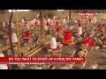 Do you want to start up a poultry farm?