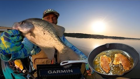BlueGill, Shell Cracker Ops. Slab Crappie at Sunset🌞 (Catch Clean Cook)