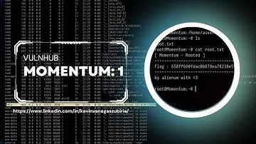 Momentum 1 VulnHub: Penetration Testing on VulnHub (No Commentary) with Lofi Music