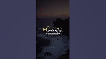 اكتب شي تؤجر عليه ♡✨️ ｜ القارئ عثمان الحداد ｜ قرآن كريم