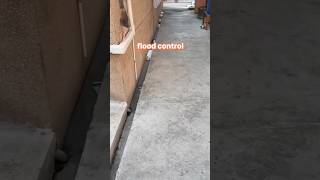 The Purr-fect Drainage System 😂 #cat #funny #shorts