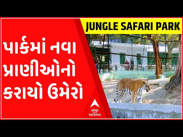 Narmada: New animals added to Jungle Safari Park, soon to open for tourists class=