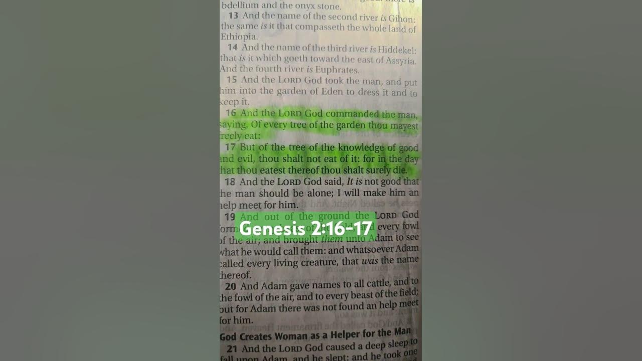 genesis-2-16-17-we-ve-all-fallen-short-not-just-adam-and-eve-but