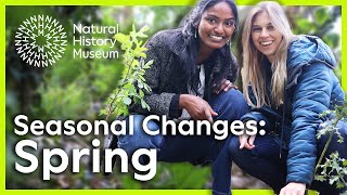 What to see in spring | Seasonal Changes
