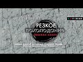 «РЕЗКОЕ ПОХОЛОДАНИЕ. ЗИМНЯЯ КНИГА» АННА СТАРОБИНЕЦ  | #аудиокнига фрагмент