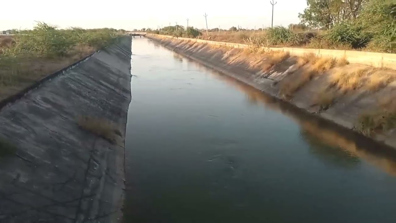 मेरे चने की खेती ओर कटाई 😜 Dalpat Shingh Ganava Vlogs