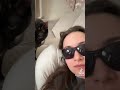 danng i guess she didn’t like the shades😩 #catshorts #catbite #streamer #girlstreamerlive #sunglass