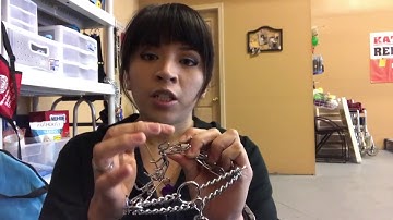 Introduction to the Prong Collar