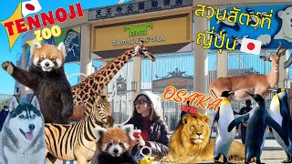 🇯🇵 Tennoji Zoo สวนสัตว์ที่ Osaka มีแพนด้าแดงด้วย น่ารักมากกก #tennojizoo #osaka #japan 𝗕𝗢𝗬𝗟𝗔𝗡𝗗 : 𝗘𝗣𝟰