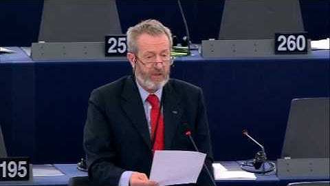 Adequacy of the protection afforded by the EU US privacy Shield