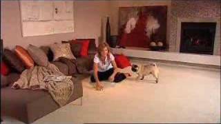 Solomons Flooring Mess Defying Carpets