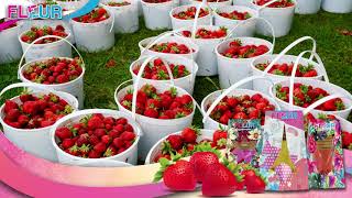 Flerr - Nancy Strawberry Scent