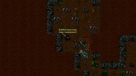 Tibia Botter Kill-Chimera