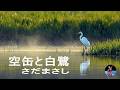 さだまさし 空缶と白鷺{♪sang with the guitar♪}