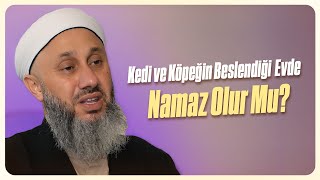 Kedi Ve Köpeğin Beslendiği Evde Namaz Olur Mu? Fatih Kalender Hoca