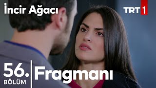 İncir Ağacı 56 Bölüm Fragmanı