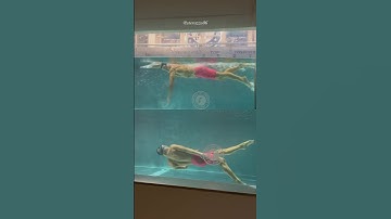 Focus on the feestyle push phase using the reversed push scull drill! 🙌🏻