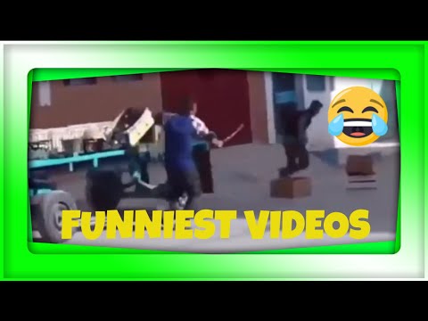 funniest-videos-on-the-internet-right-now