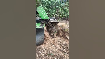 Never Ending Roots Stump Removal