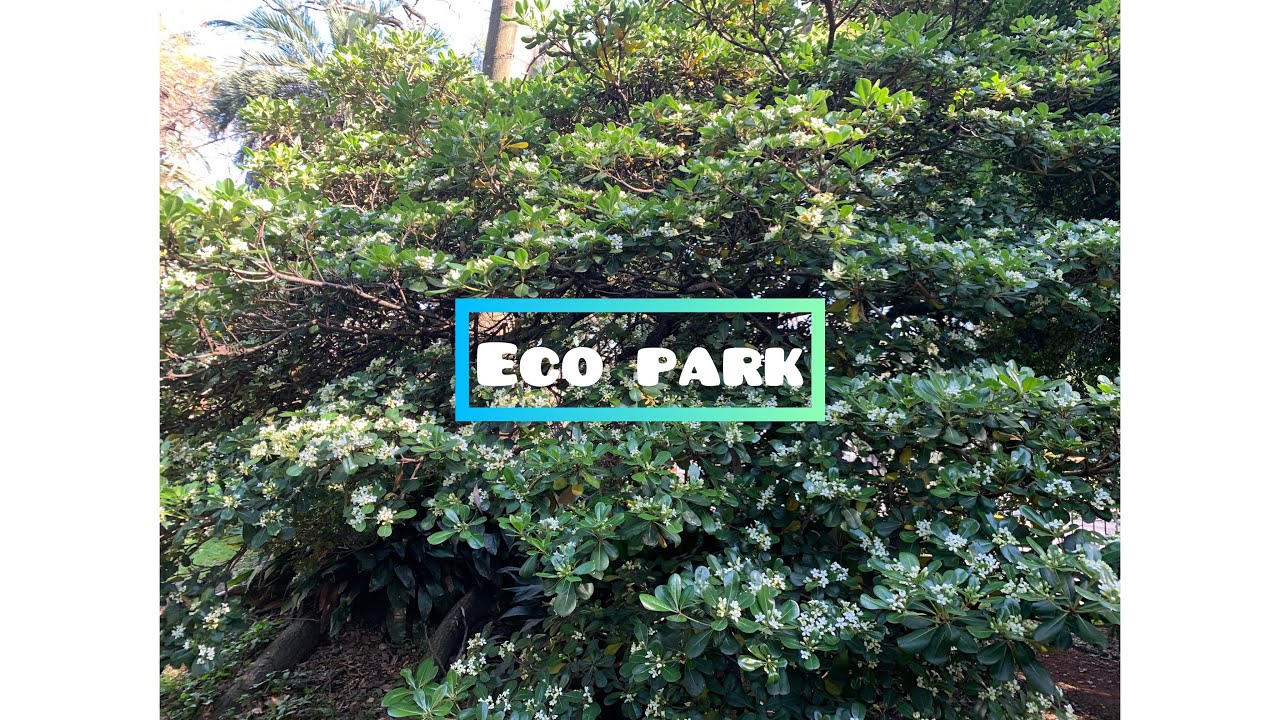 Eco park 2 YouTube