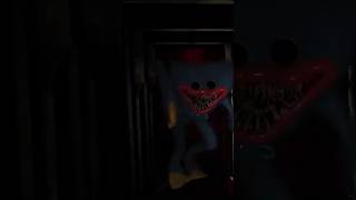 Huggy Wuggy Is Chasing Me