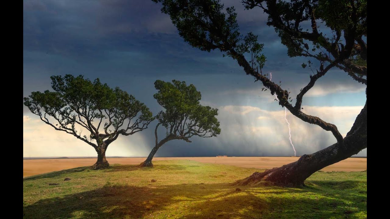 Photoshop Eliminare Aloni da Selezione