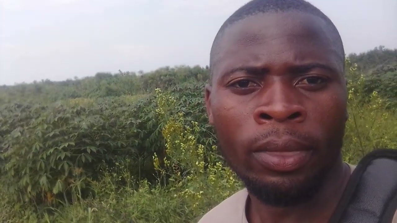 Reba uko ibihingwa baba bimeze mubutaka bwera cyane