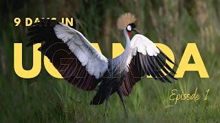 Journey to the Wild - Arrival in Uganda | Uganda Series Ep. 1
