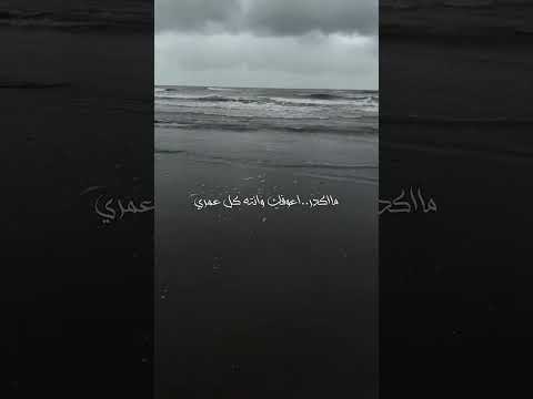 عزي ودلالي وبيض الليالي ستوريات ترند تيك توك حالات واتس لايك أرشيف