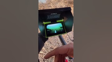 Câu Cá Không Cần Dùng Mồi - Camera Soi Cá 2 #shorst