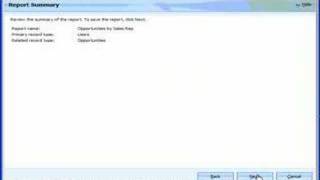 CRM 4.0 Report Wizard - part 2
