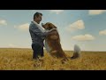 Un cane ha ritrovato il suo padrone dopo 37 anni