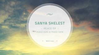 Sanya Shelest  - Peace Data (Original mix)