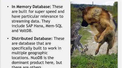 By Popular Demand: The Rise of Elastic SQL