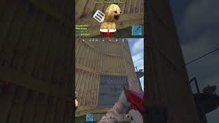 welyn trolling peanut