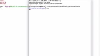 Famous Jokes in Python Code Wealth